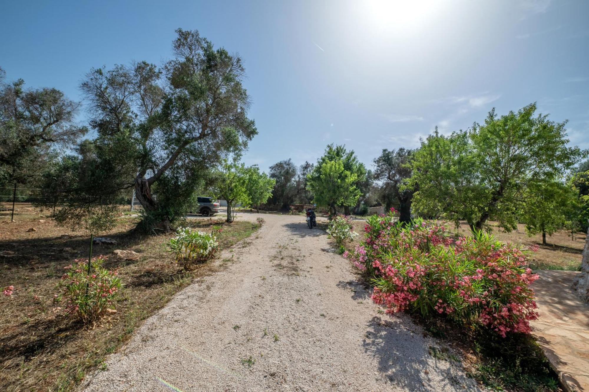 فيلا سيغلي ميسابيكافي Il Trullo Di Mariangela المظهر الخارجي الصورة